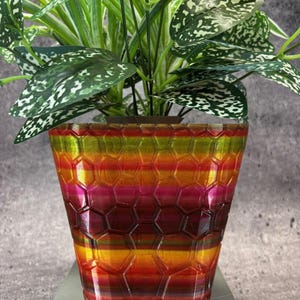 May include: A colourful, striped planter with a hexagonal pattern. The planter is made of a translucent material and has a glossy finish. The planter is filled with a green plant with white spots.