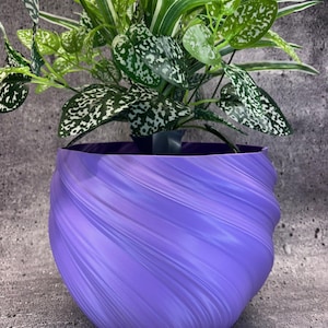 May include: A vibrant purple, spiral-textured planter holds a lush green plant with white-speckled leaves. The planter's design features a swirling pattern, adding a modern touch to the botanical arrangement. The plant's leaves have a spotted pattern.