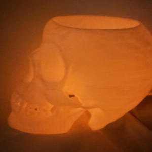 May include: A glowing, off-white skull-shaped decorative object. The skull has a hollow interior and detailed facial features, including teeth and eye sockets. The lighting gives it a warm, orange hue.