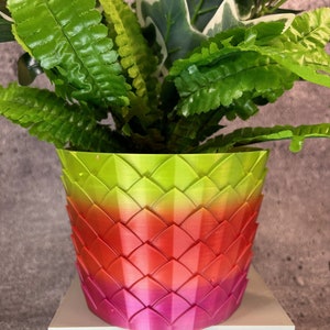 Unique Planter-Medium Flower Pot for Plants of all kinds - 6" Diameter by 4.5" Tall Colorful Planter Unique Planter; USA Store