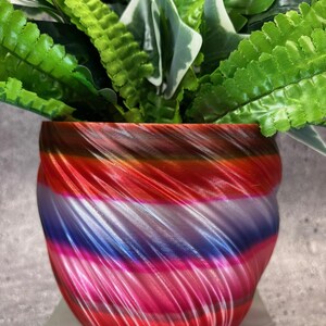 May include: A colourful, swirl-patterned planter with a red, pink, blue and white design. The planter is filled with green and white leafy plants.