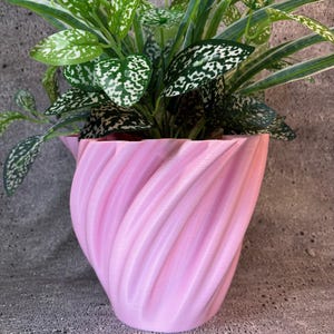 May include: A pink, swirl-shaped planter with a green and white leafy plant inside.