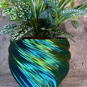 May include: A houseplant in a decorative pot. The plant has green and white speckled leaves. The pot is a swirling design of blue, green, and yellow hues. The pot is approximately 6 inches in diameter.