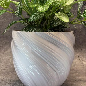 May include: White ceramic planter with a swirling, textured design. The planter is filled with a green leafy plant.