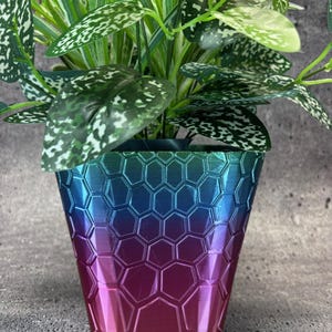 May include: A green and white leafy plant in an iridescent planter with a hexagonal pattern. The planter is a gradient of teal, blue, purple, and pink.