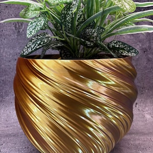 May include: A metallic gold planter with a spiraling, ribbed texture containing a leafy plant with variegated green and white foliage. The planter has a rounded, bulbous shape with a glossy finish that reflects light along its curved, diagonal ridges.