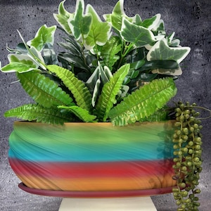 Op de afbeelding: Een kleurrijke, decoratieve plantenbak gevuld met diverse groene planten. De plantenbak heeft een regenboog-wervelontwerp met tinten rood, oranje, blauw en groen. Een hangplant met kleine, ronde groene bladeren hangt aan de zijkant.