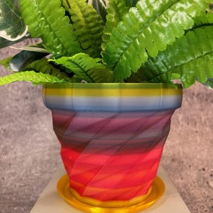 May include: A colorful, geometric planter with a red, orange, yellow, blue, and purple gradient. The planter has a gold rim and a matching saucer. A green fern plant is growing in the planter.