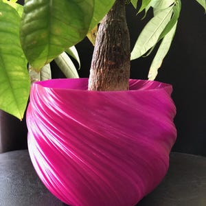 May include: A magenta plant pot with a textured, swirling design. The pot contains a small tree with a brown trunk and green leaves. The pot is on a dark surface.