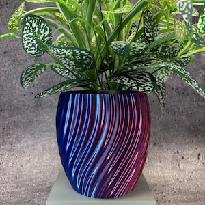 Op de afbeelding: Een tweekleurige blauw-rode bloempot met een textuur, wervelend patroon. De pot bevat een groene plant met witgespikkelde bladeren. De pot staat op een lichtgrijze rechthoekige standaard, tegen een grijze textuur achtergrond.