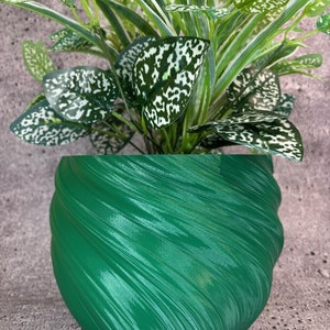 May include: A green, swirl-patterned ceramic planter with a leafy green plant with white variegation.