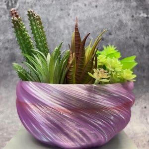 Mittelgroßer flacher Twisted-Übertopf für Sukkulenten oder Cati (Wilde Orchidee Nadelstreifenfarbe) - 21 cm Durchmesser mal 9 cm hoch; Moderner Blumentopf; USA Shop