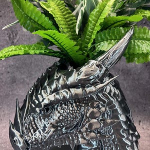 以下が含まれることがあります： 鮮やかな緑と白の葉の植物で満たされた、詳細なメタリックグレーのドラゴンの頭のプランター。 ドラゴンの鱗と角は複雑に設計されており、ユニークな装飾品を作成しています。