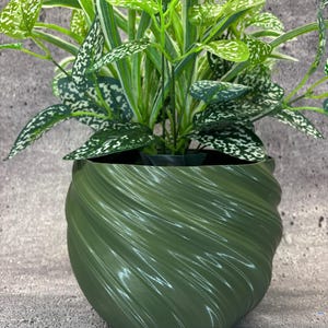 May include: A green, swirl-patterned ceramic planter with a leafy green plant with white speckles.