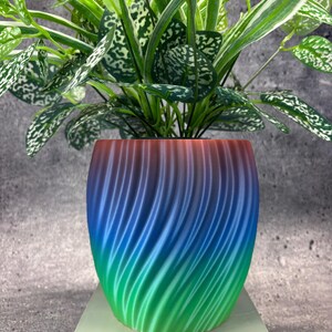 May include: A colourful plant pot with a spiral design, filled with a green plant with white speckled leaves. The pot transitions from red at the top to blue and green at the bottom. The plant pot is sitting on a white surface.
