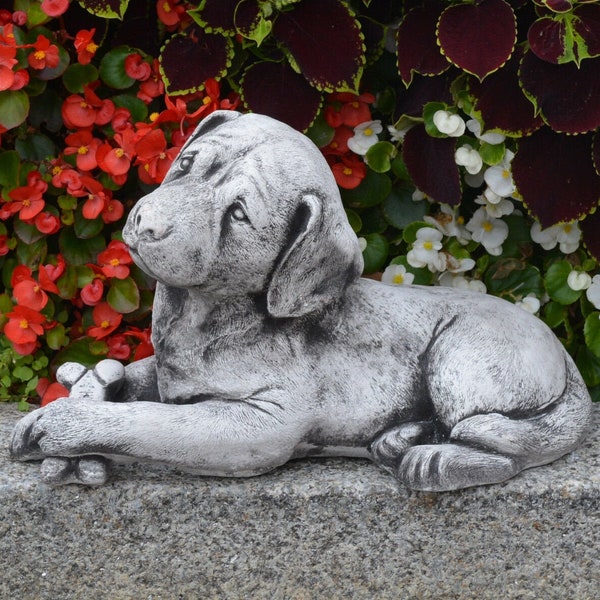 Chocolate Lab Lawn Statue Etsy