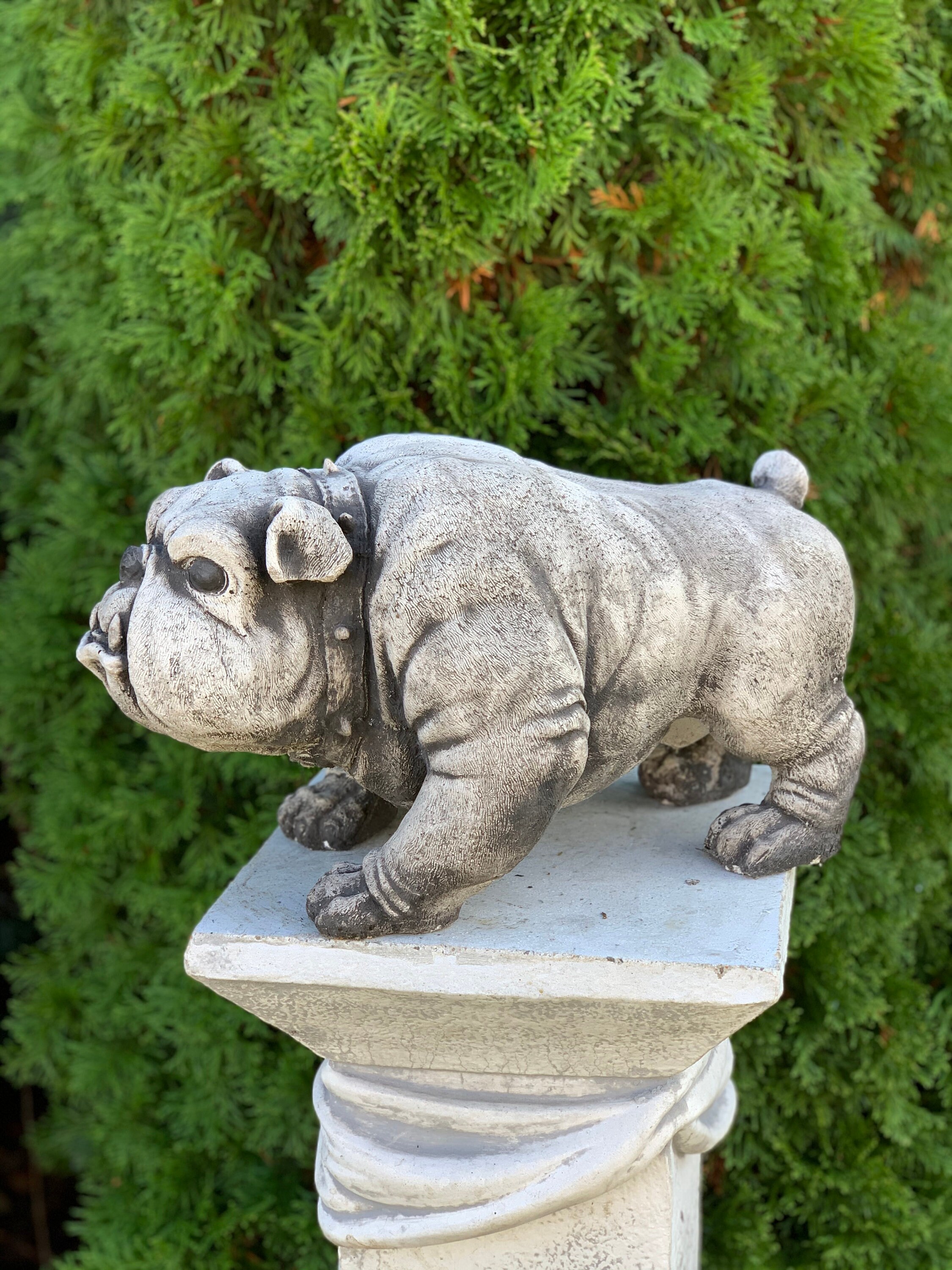 Bulldog Statue Concrete Statue Of Dog For Home And Garden Etsy