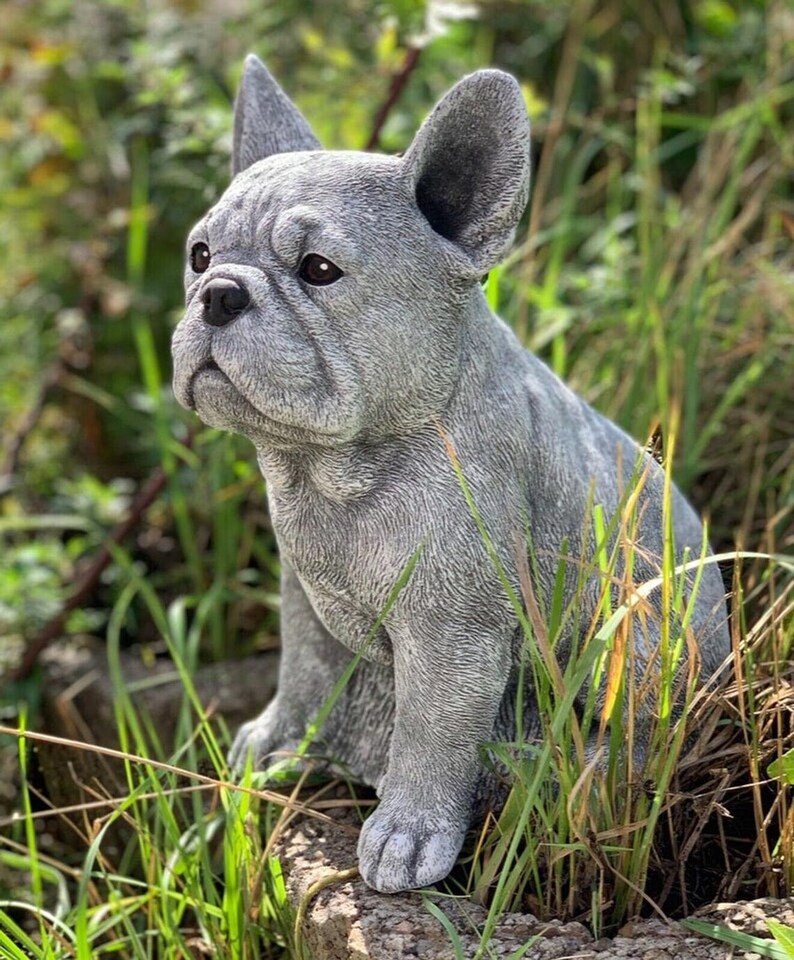 French Bulldog Garden Statue Concrete Yard Decor Life Like Etsy