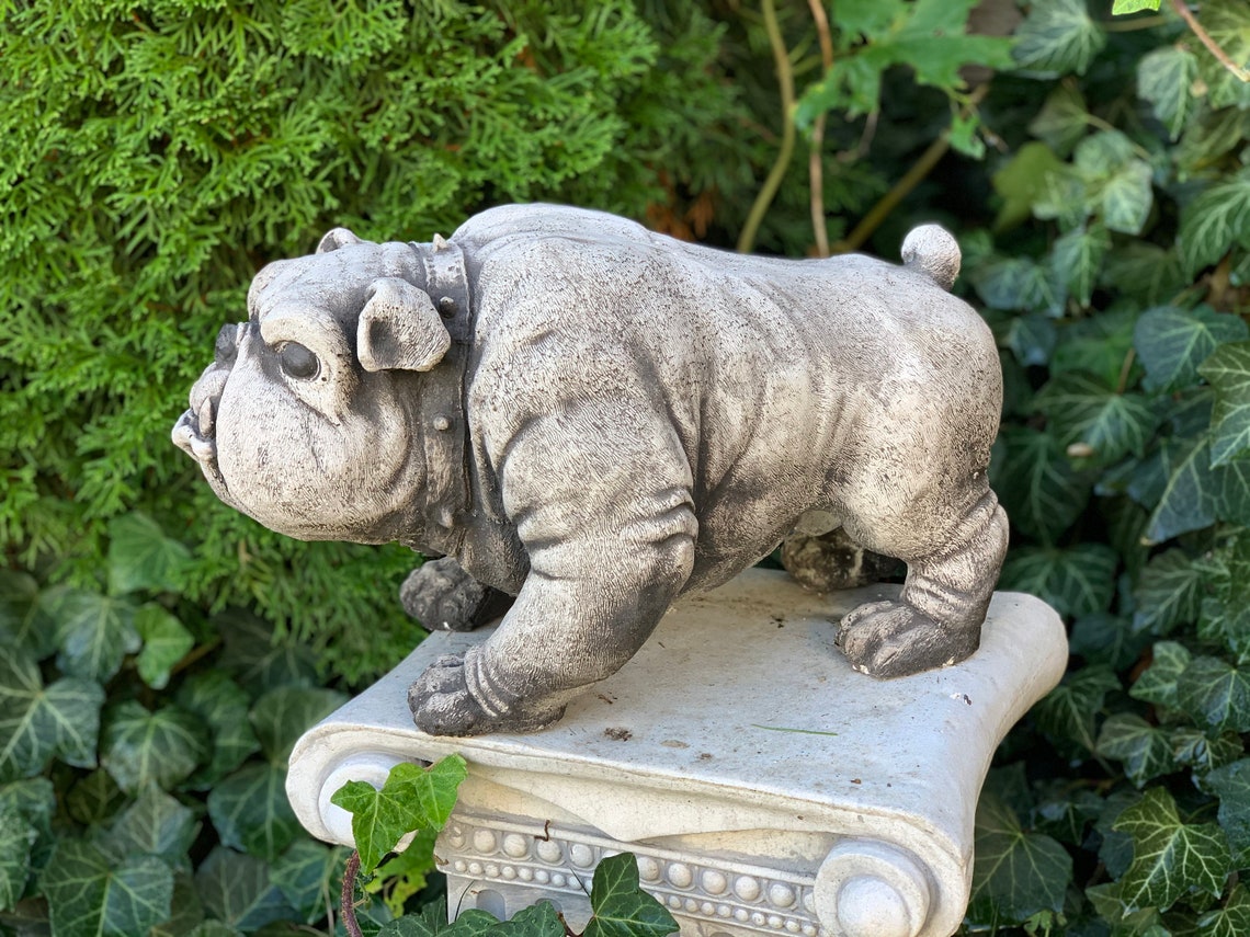 Bulldog Statue Concrete Statue Of Dog For Home And Garden Etsy