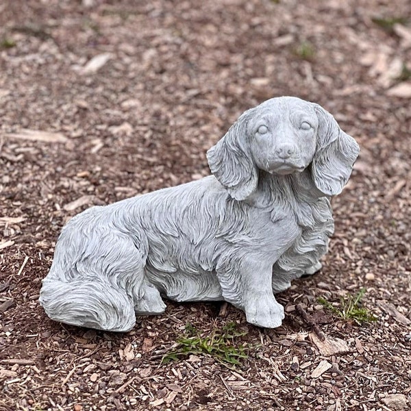 Longhaired Dachshund Etsy