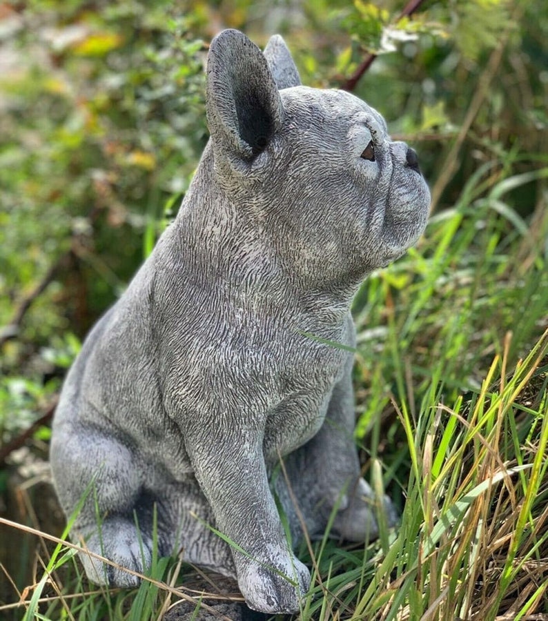 French Bulldog Garden Statue Concrete Yard Decor Life Like Etsy