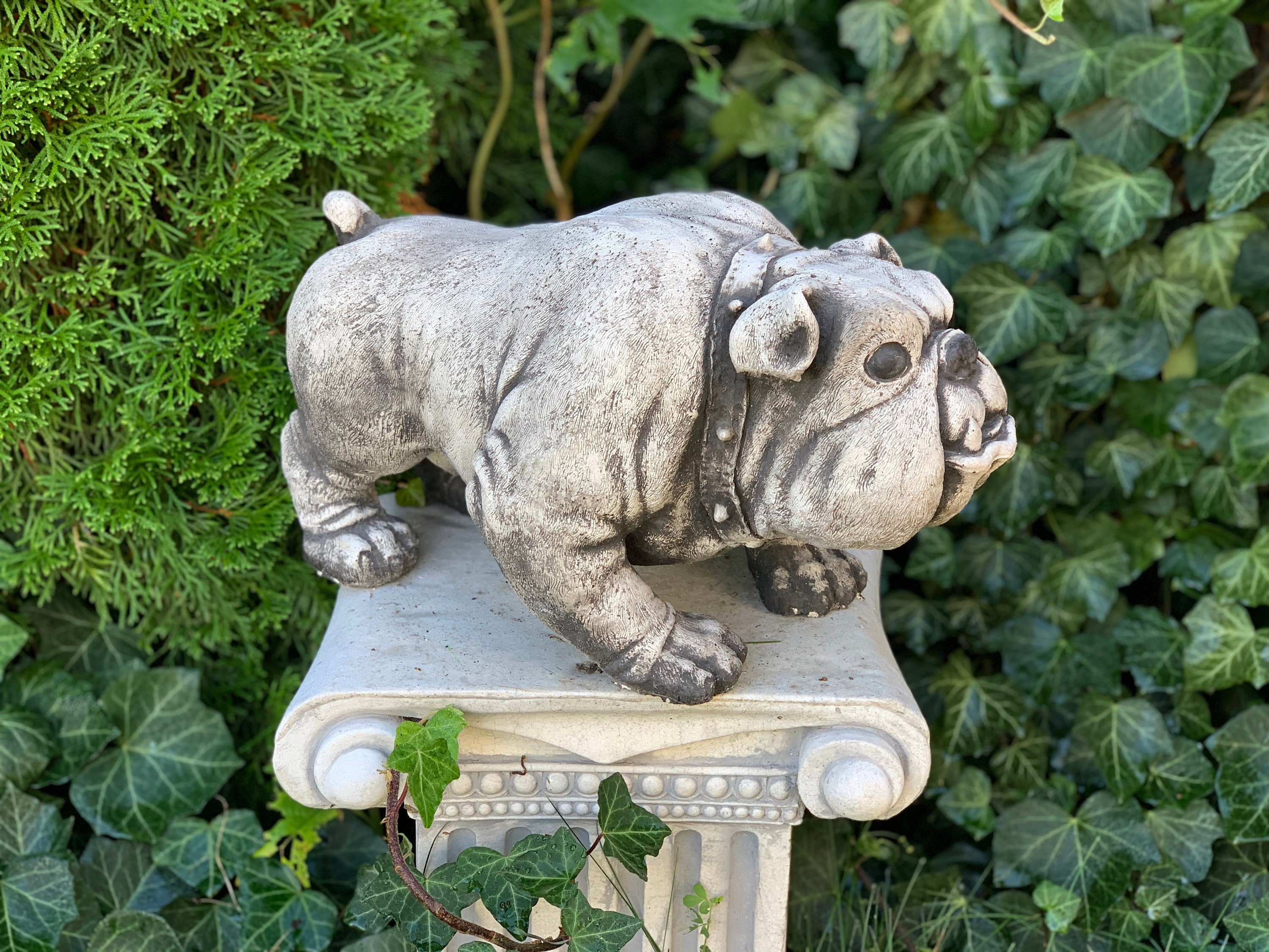 Bulldog Statue Concrete Statue Of Dog For Home And Garden | Etsy