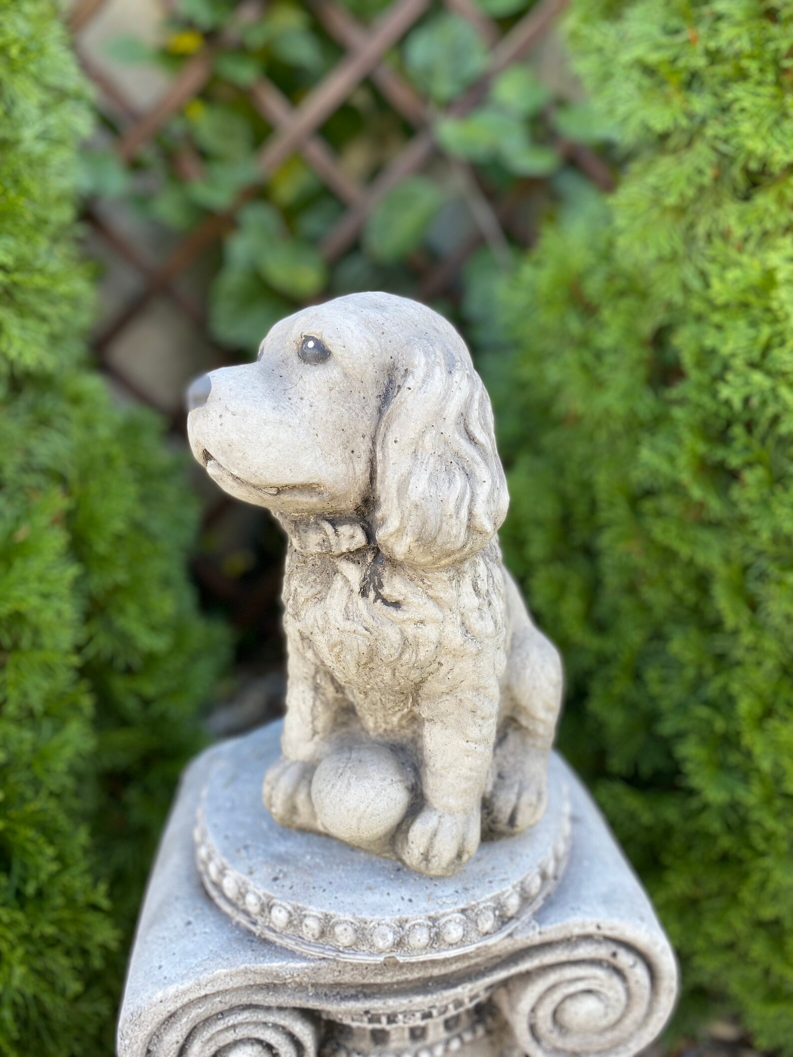 concrete spaniel statue