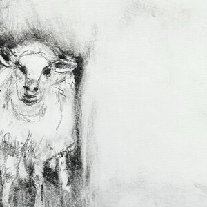 May include: A charcoal drawing on paper featuring two sheep rendered in black and white. The sheep on the right is depicted in detail with textured wool, while the sheep on the left is partially obscured by deep black shading and loose lines.