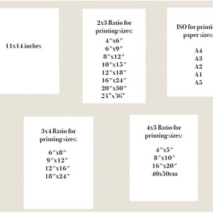 Pode incluir: Um gr&aacute;fico mostrando diferentes tamanhos de papel para impress&atilde;o, incluindo propor&ccedil;&otilde;es 2x3, 3x4 e 4x5, bem como tamanhos padr&atilde;o ISO como A4, A3, A2, A1 e A5.