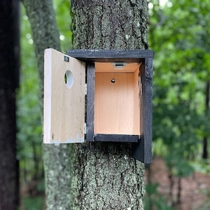 DIY houten vogelhuisje in moderne stijl, vogelhuisje, vogelhuisje in moderne stijl houtbewerking, digitale pdf-plannen, direct downloaden