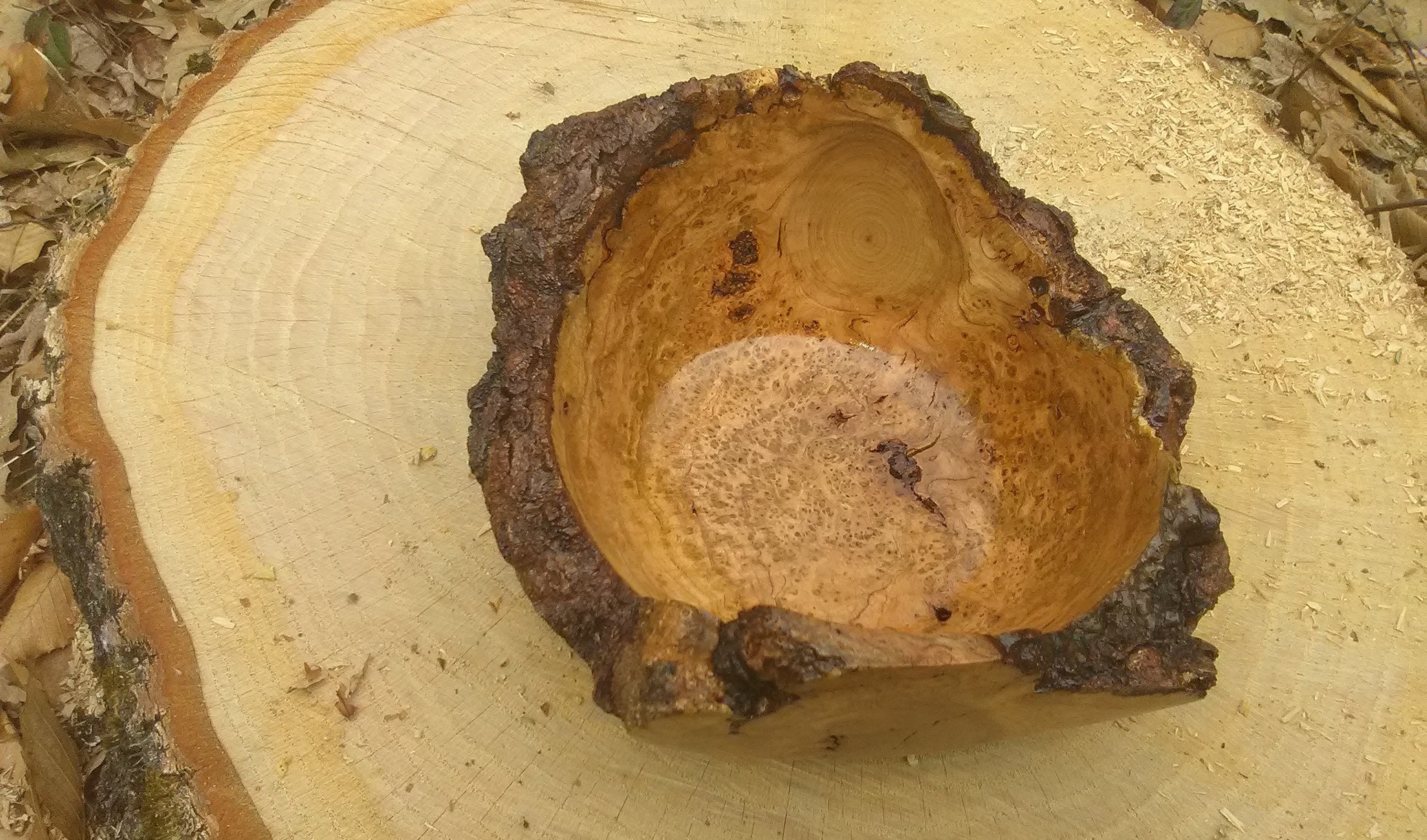 Black Cherry Burl Etsy