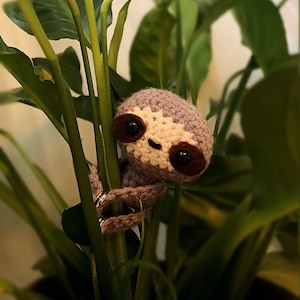 Planta preguiça de crochê, amiga cinza