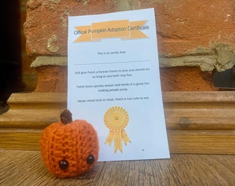 Adopt  A Pumpkin/ Pumpkin/Halloween Gift/Pumpkin Pet