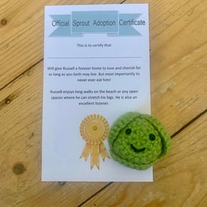 Adopt a sprout! Perfect fun present