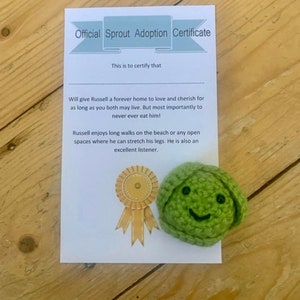 以下が含まれることがあります： 「Official Sprout Adoption Certificate」と書かれた証明書で、受け取った人はラッセルに永遠の住処を与え、愛し、大切にすることを約束しています。証明書には、笑顔の緑色の毛糸で編まれた芽が付けられています。