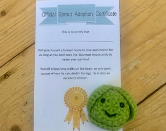 Adopt a sprout! Perfect fun present