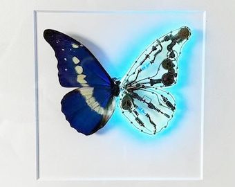 Cyberpunk Butterfly Frame, Morpho Helena Mechanical Wing With Neon Light Optional Bluetooh Speaker Anti-reflective Glass Chargeable Battery