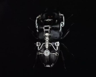 Framed Steampunk Mechanical Beetle Insect Sculpture Handmade Clockwork Wall Art Decor Robots Aesthetic Unique Tech Gifts for Men Sci-fi Art