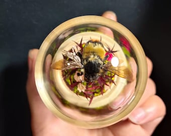 Mechanical Bumblebee Diorama The Smallest Mechanical Insect with Flapping Wings Home Decor Cool Nature Gifts Kinetic Sculpture Aesthetic Art