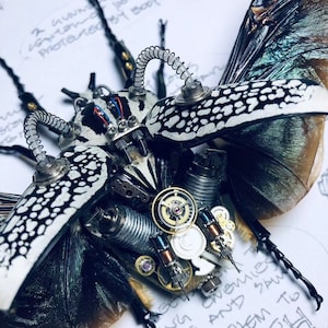 Puede incluir: Una escultura de escarabajo de estilo steampunk con alas blancas y negras, engranajes intrincados y una esfera de reloj. El escarabajo está hecho de metal y tiene un diseño detallado y realista.