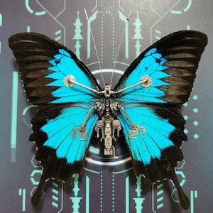 Cyberpunk Butterfly Papilio Ulysses with A Mechanical Wing Framed Insect Specimen Mechanical Mutant Home Decor Gift Sculpture Aesthetic Art