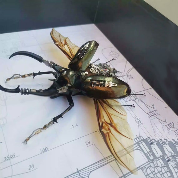 Steampunk Beetle Insect, Real Chalcosoma Atlas, Cyberpunk