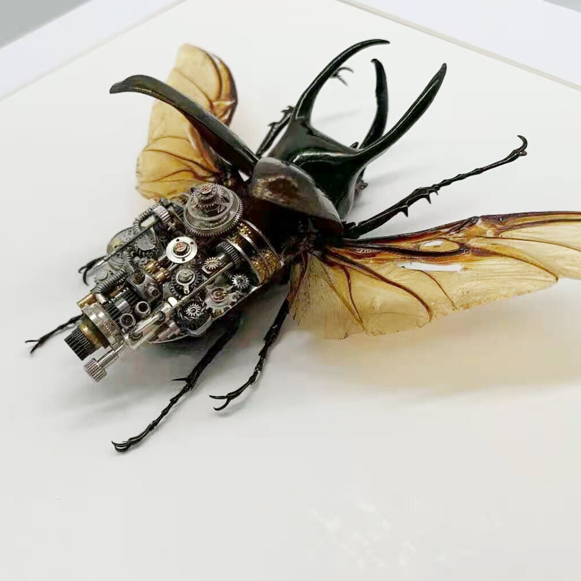 スチームパンク ビートル 昆虫 機械生物 彫刻 時計仕掛け リアル