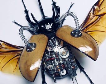 Steampunk Cyborg Mechanical Beetle Insects Bugs Kinetic Sculpture Art Unique Gift Ideas for Men Insect Lovers Home Decor Objects Collection
