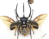 スチームパンク サイボーグ メカニカル ビートル 昆虫 虫 ファンタジー