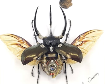 スチームパンク サイボーグ メカニカル ビートル 昆虫 虫 ファンタジー