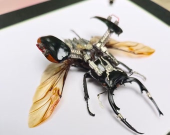 スチームパンク風サイボーグカブトムシの彫刻 - 額装された昆虫アート