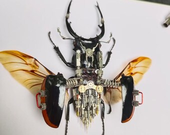 スチームパンク風サイボーグカブトムシの彫刻 - 額装された昆虫アート