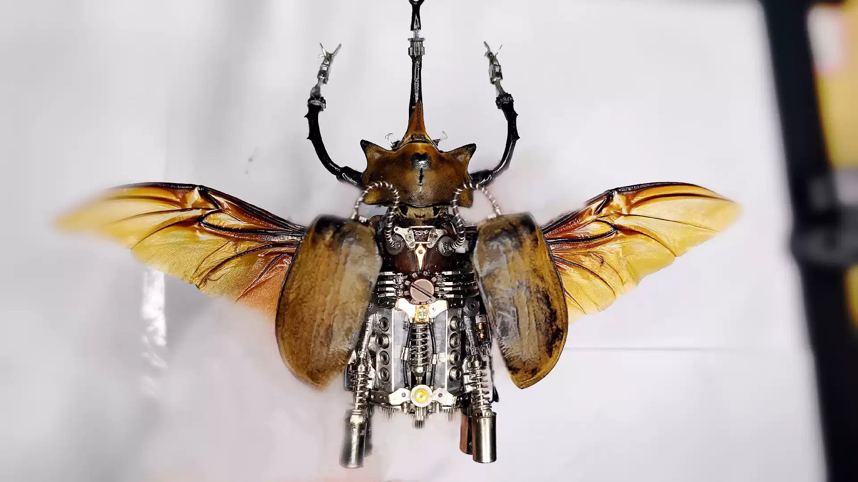 Work Men Insect Steampunk Cyborg Mechanical Beetle Insects Bugs Kinetic Sculpture ...