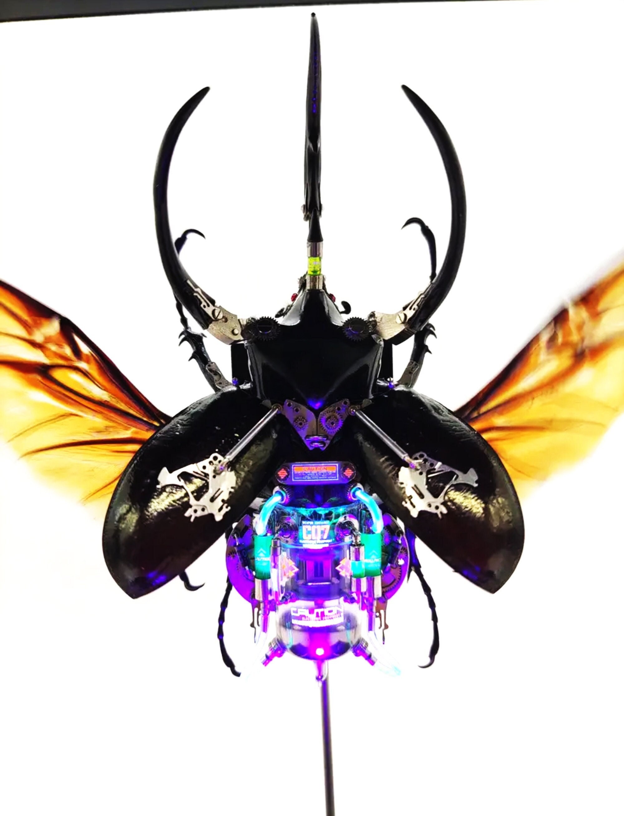 Steampunk Cyborg Mechanical Beetle Insects Bugs Kinetic image picture